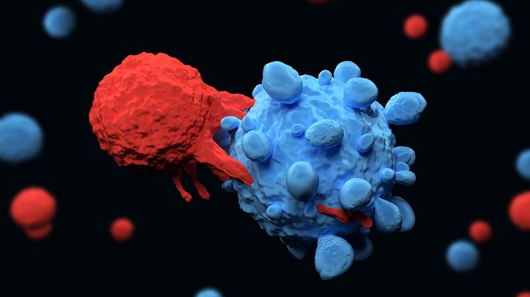T-celle dræber en kræftcelle