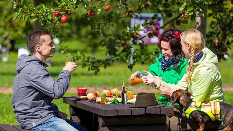 Picknick im Pomologischen Schau- und Lehrgarten Döllingen im Elbe-Elster-Land, Foto: Landkreis Elbe-Elster / Andreas Franke