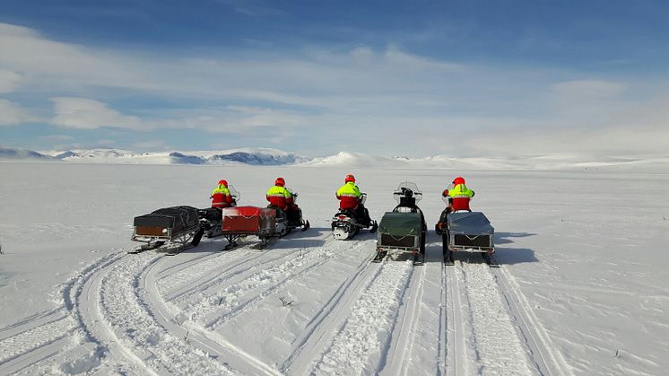 Det finns ca 80 fjällräddare i föreningen, från Arjeplogsfjällen till Karesuando.