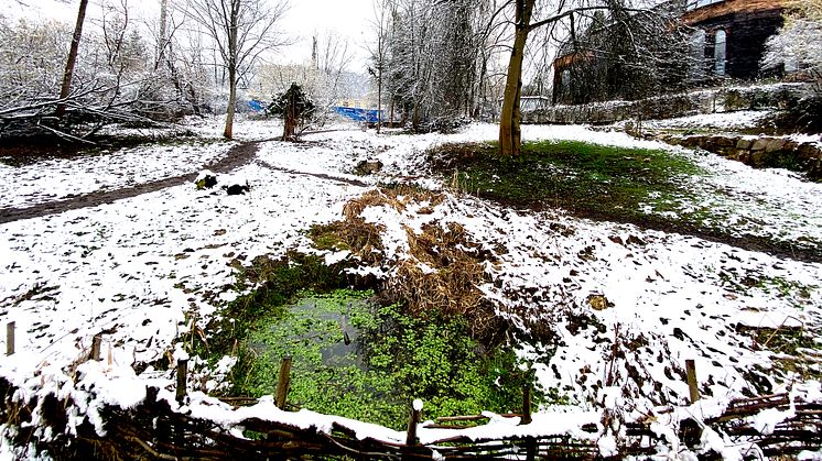 Schwinbach Aue im Schnee, Februar 2021 (Foto: Sebastian Jüngel)