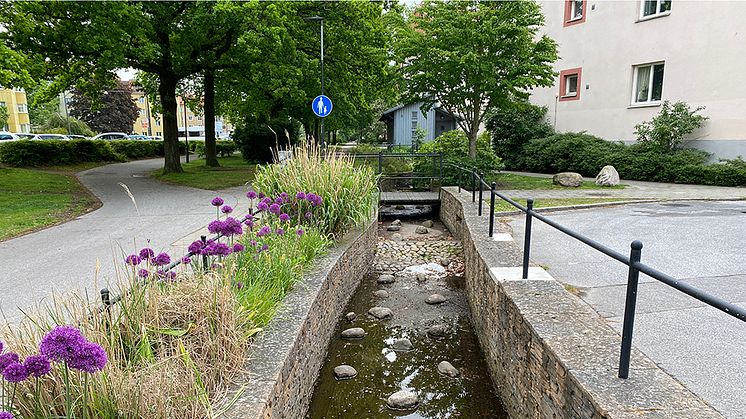 Exempel på klimatanpassning med blågröna lösningar i området Augustenborg i Malmö. Foto: Johan Holmqvist/IVL