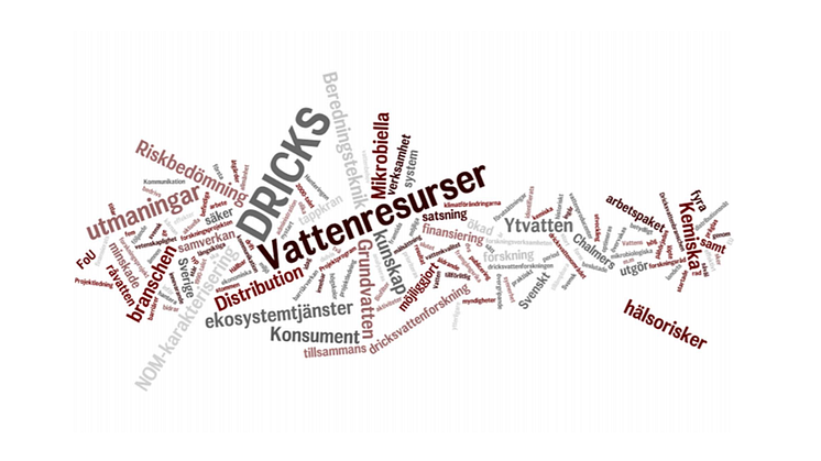 C-rapport: Verksamhetsberättelse DRICKS 2019