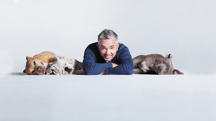 Den internationellt kända hundtränaren Cesar Millan kommer till Helsingborg Arena 20 april 2018.