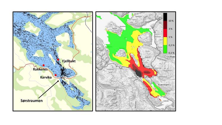 Strømmodellering Kvænangen (til venstre) og konsentrasjoner av viruspartikler fra Karvika i prosent av utslipp (til høyre).