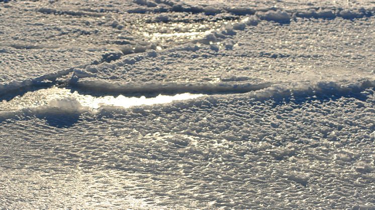 Isen på Delsjöarna är osäker - allmänheten uppmanas att inte gå ut på den!