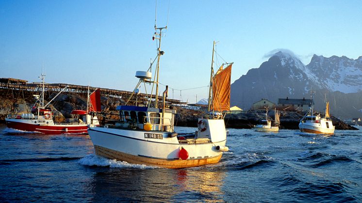 Best half year ever for Norwegian seafood export