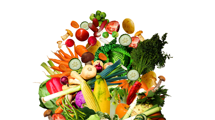 Visste du att det är den ”vegetariska dagen” idag?