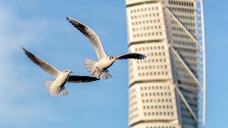 Turning Torso