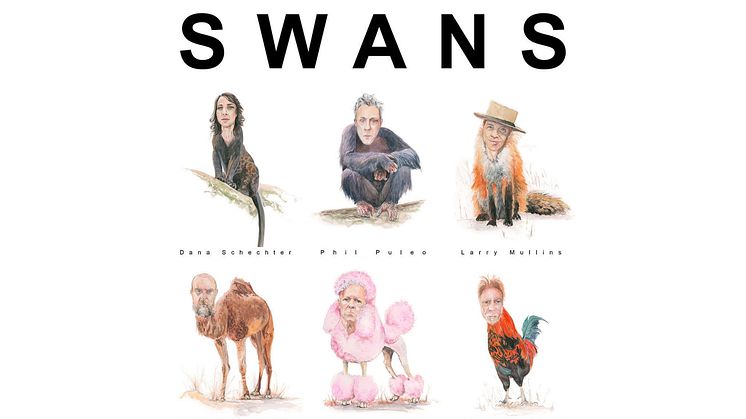 Swans - Illustration: Phil Puleo 