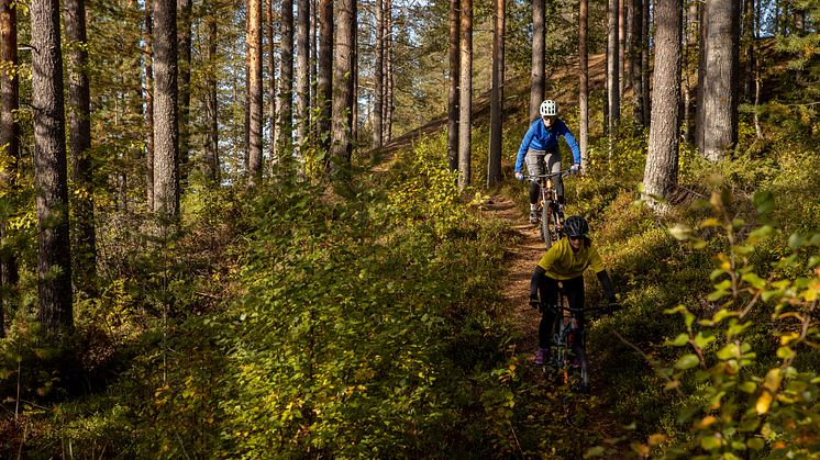 Cykling Umeåregionen