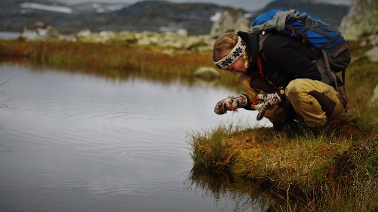 Norsk Botanisk Forening 3,2 millioner kroner til å videreføre prosjektet Ung Botaniker. Bildet er fra Ung Botanikers kurs på Finse i 2018. (Foto: Simen Hyll Hansen)