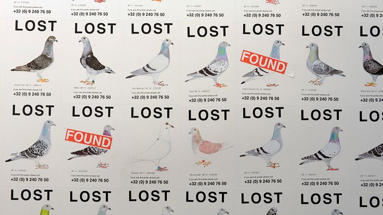 Lost Pigeons - Pilvi Takala