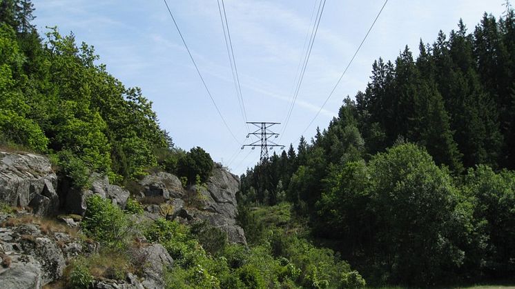 Vattenfall sänker elnätstaxan i regionnätet