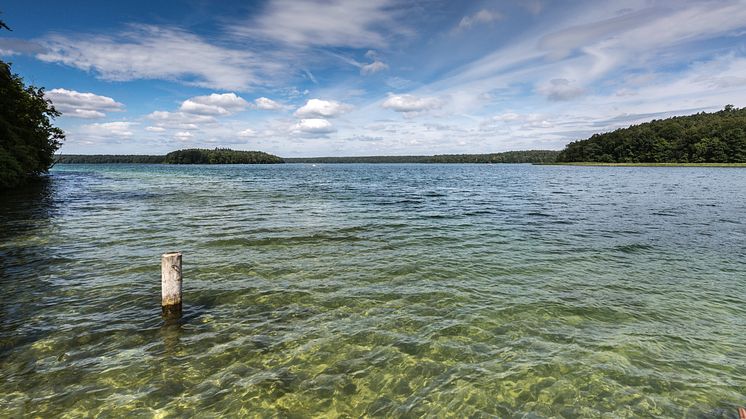 Der Stechlinsee im Ruppiner Seenland bietet viel Platz für Erholung auf dem Wasser. Foto: TMB-Fotoarchiv/Steffen Lehmann. 