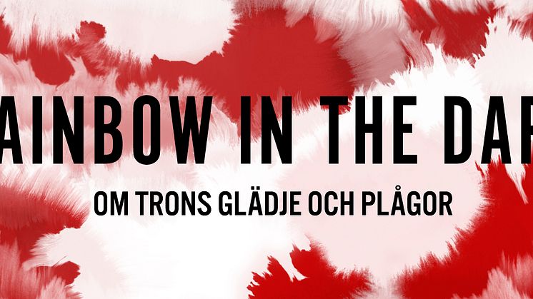 Pressinbjudan: Rainbow in the Dark på Malmö Konstmuseum 15 oktober