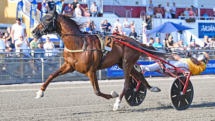 Vernissage Grif är häst tolv att bli klar för sista söndagen i maj. Foto: TR Bild