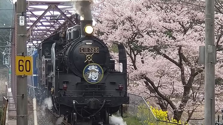 SL Taiju in Spring