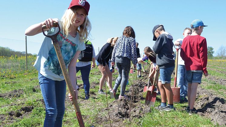 - Vi hoppas att eleverna ska njuta av upplevelserna och att de åker från Sofieroskogen med nya kunskaper och lust att fortsätta upptäcka naturen med respekt för vad skogen ger oss, säger Caroline Sjunner, miljöpedagog på Miljöverkstaden.