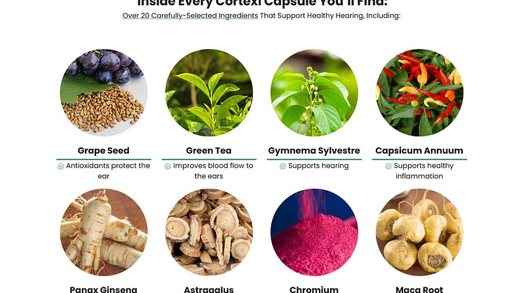 Ingredients In The Cortexi Ear Health Supplement