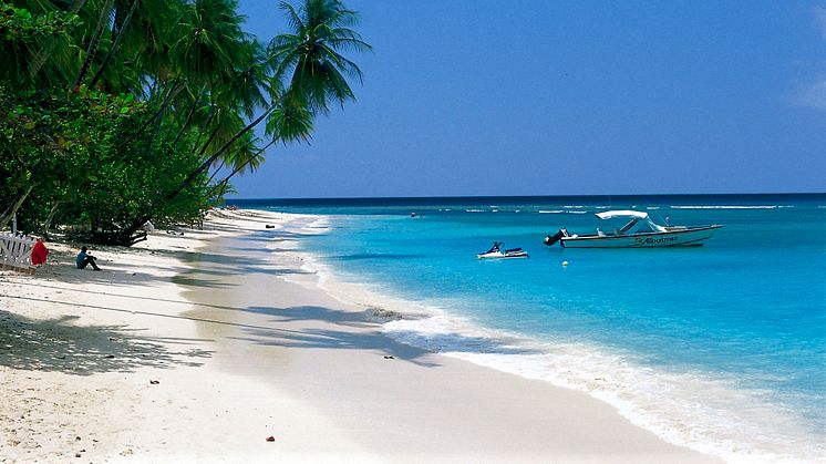 Karibisk nyhet vintern 11/12: Världspremiär - direktcharter till Barbados