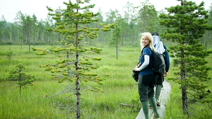 Hållbarhetsenkät Gold of Lapland 