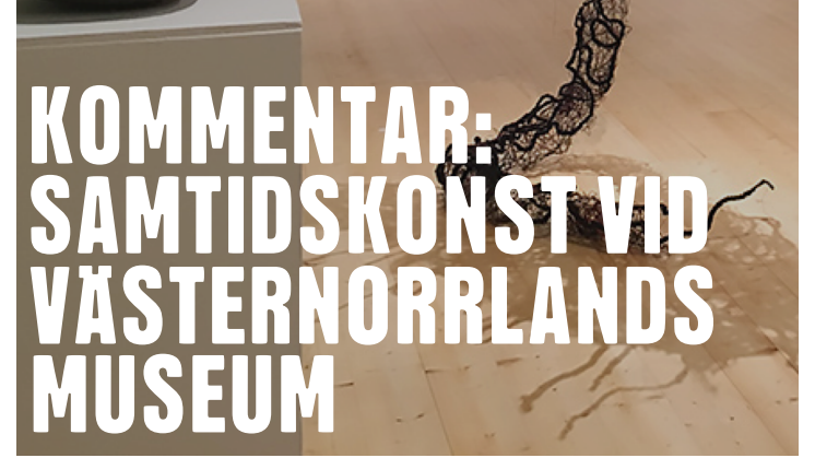 Kommentar: Samtidskonst vid Västernorrlands museum