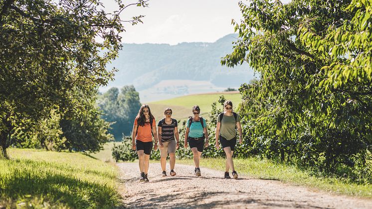 Unterwegs auf dem Fricktaler Hoehenweg © Schweiz Tourismus