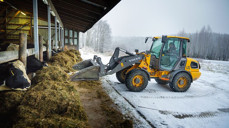 Norrmalms lantbruk: ”Volvo L25 Electric gillas av både oss och djuren”