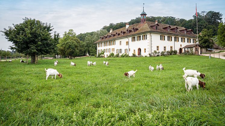 Klosterhotel St. Petersinsel in Erlach (c) Schweiz Tourismus, André Meier