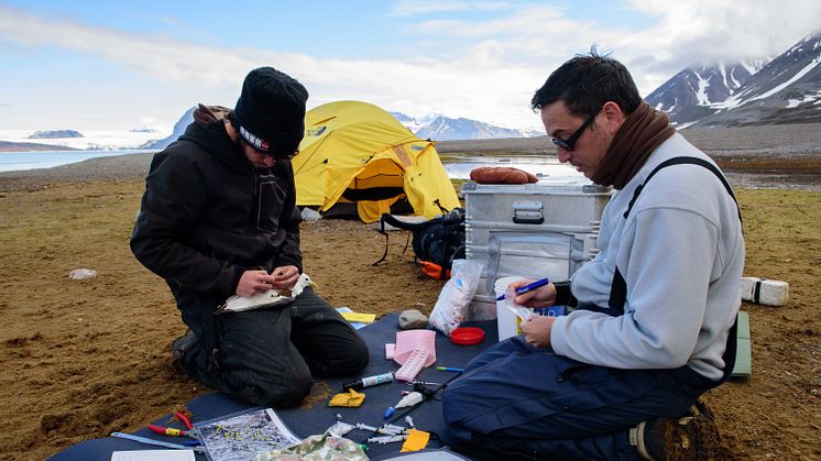 Fieldwork at Svalbard II