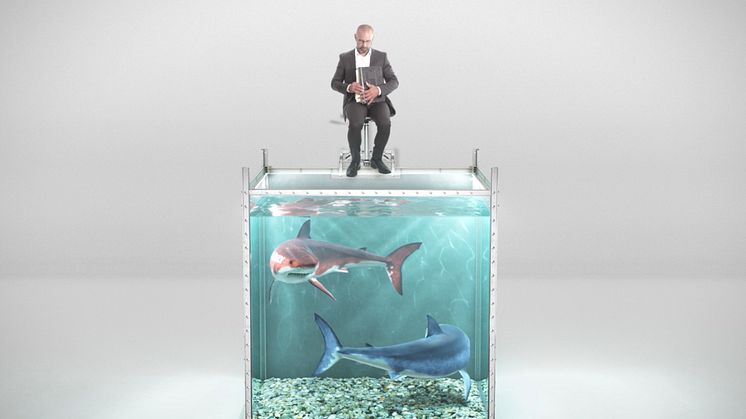 Can you save your CFO from the software licensing sharks?