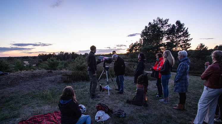 Einmalige Ausblicke bietet die Sternenwanderung in der Kyritz-Ruppiner Heide. Foto: Nora Künkler.