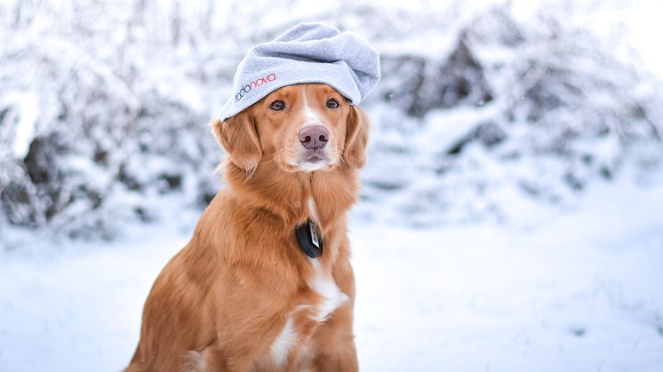 Vi önskar alla en god jul och ett gott nytt år!