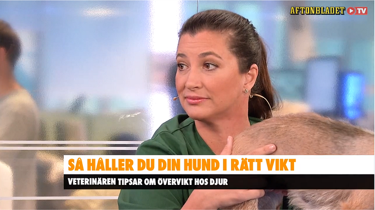 Marie Jury från Väsby Djursjukhus besöker Aftonbladets morgon TV 