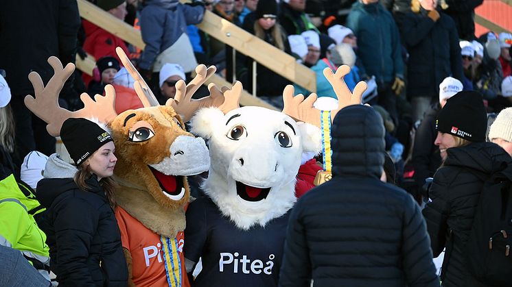 Nytt avtal för Piteå kommuns kommunikationstjänster