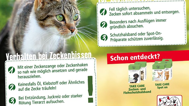 Infografik: Zeckenschutz bei der Katze