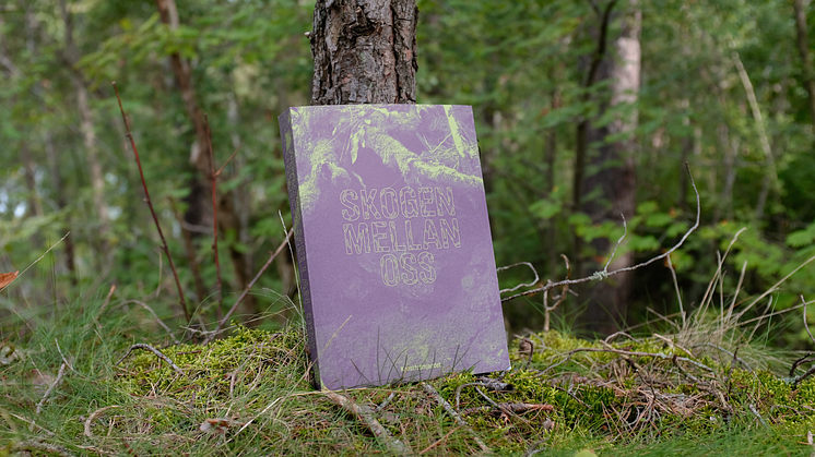 Skogen mellan oss. Formgivning av Johanna Tham. Foto: Konstfrämjandet