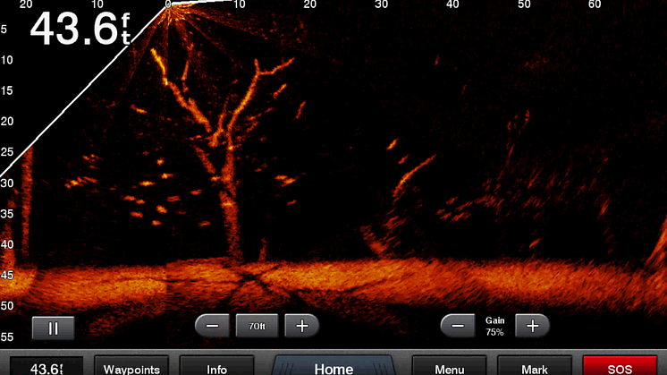 Panoptix LiveScope Screen2 