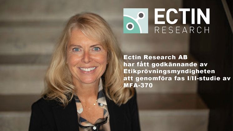 Ectin Research AB har fått godkännande av Etikprövningsmyndigheten att genomföra fas I/II-studie av MFA-370 