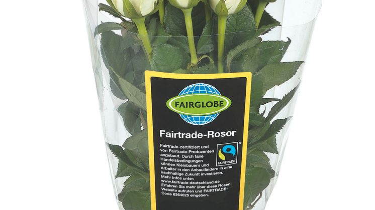 Fairtrade-märkt ros Fairglobe