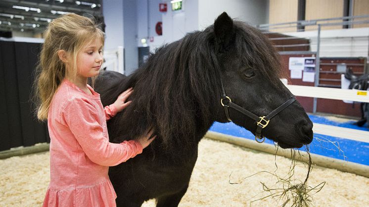 Time for EuroHorse. The horse fest of the year in Gothenburg