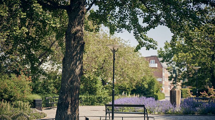 Sitta, leka, fika och kanske ett lusthus- allt med närhet till toalett! Så vill invånarna ha det i stadsparken