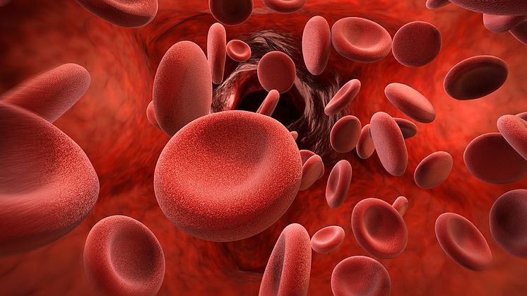 Blutplättchen (Thrombozyten) sind für die Gerinnung verantwortlich. Zudem übernehmen sie eine wichtige Funktion in der Immunantwort. Sie sind die ersten Zellen, die Eindringlinge wie Viren gut erkennen. (Copyright: phonlamaiphoto/stock.adobe.com).