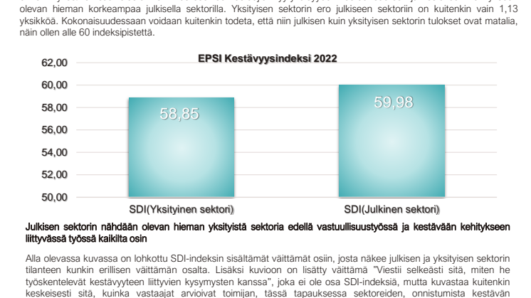 EPSI SDI 2022 tulostiivistelmä.pdf