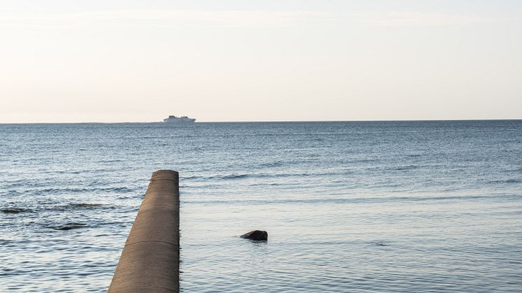 Svensk Sjöfart välkomnar regeringens satsning att bättre nyttja svensk biogas