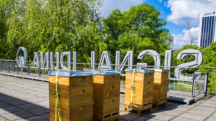 SIGNAL IDUNA setzt auf Bienen