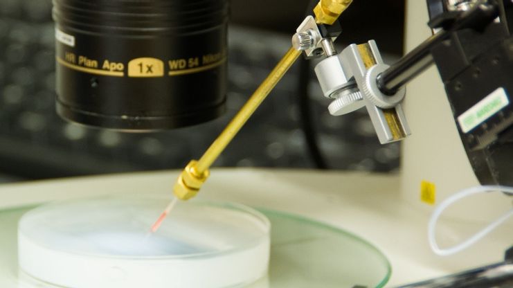 BioReperia får miljonstöd i utlysning från Swelife och Medtech4Health