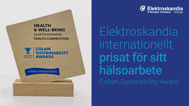 Elektroskandia internationellt prisat för sitt hälsoarbete