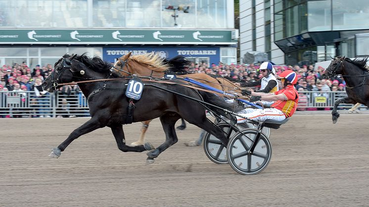 Odd Herakles segrade i Elitkampen på Solvalla. Foto TR Bild