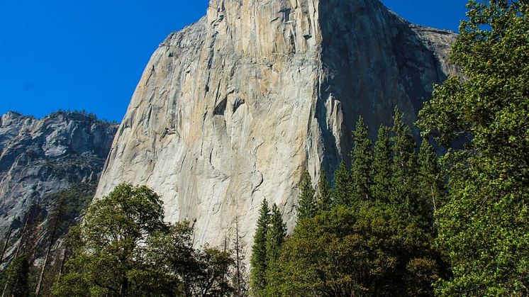 Bild bergstopp